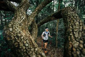 BIB: 
                            <button type="button" onclick="openModal(25393971)" class="btn btn-primary btn-sm float-right btn-popup" data-toggle="modal" data-target=".modal-high-quality">
                        <i class="fas fa-shopping-cart"></i> Add to Cart
                    </button>
                                            <button type="button" onclick="isThisMe(25393971, true)" class="btn btn-success btn-sm float-right btn-popup btn-isme hidden" data-toggle="tooltip" data-placement="bottom" title="นี่คือรูปของคุณใช่ไหม คลิกที่นี่เพื่อเอาเข้าอัลบั้ม">
                        <i class="fas fa-plus"></i> Add to album
                    </button>
                    <button type="button" onclick="isThisMe(25393971, false)" class="btn btn-warning btn-sm float-right btn-popup btn-isnotme hidden">
                        <i class="fas fa-ban"></i> Remove from album
                    </button>